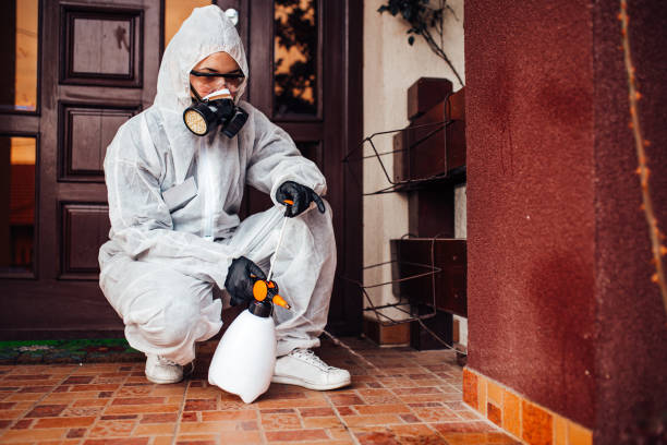 Reliable Cockroach Control contractor in Wagener, SC by Nex Pest Control